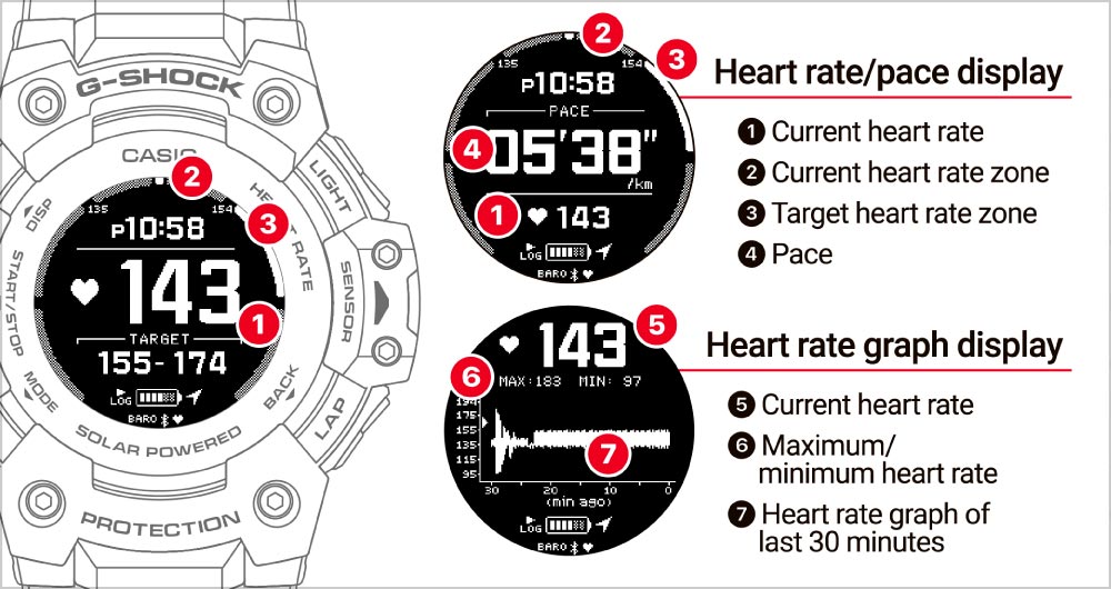 Heart Rate Monitor/Heart Rate Zone Display