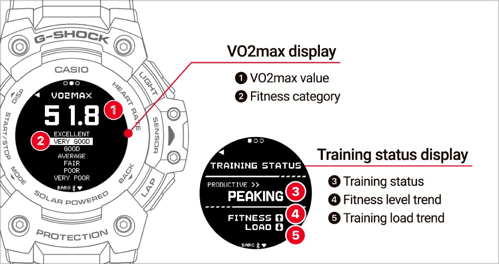 VO2max Measurement