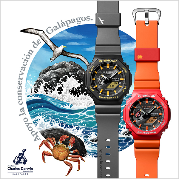 An image link to GA-B2100DF page