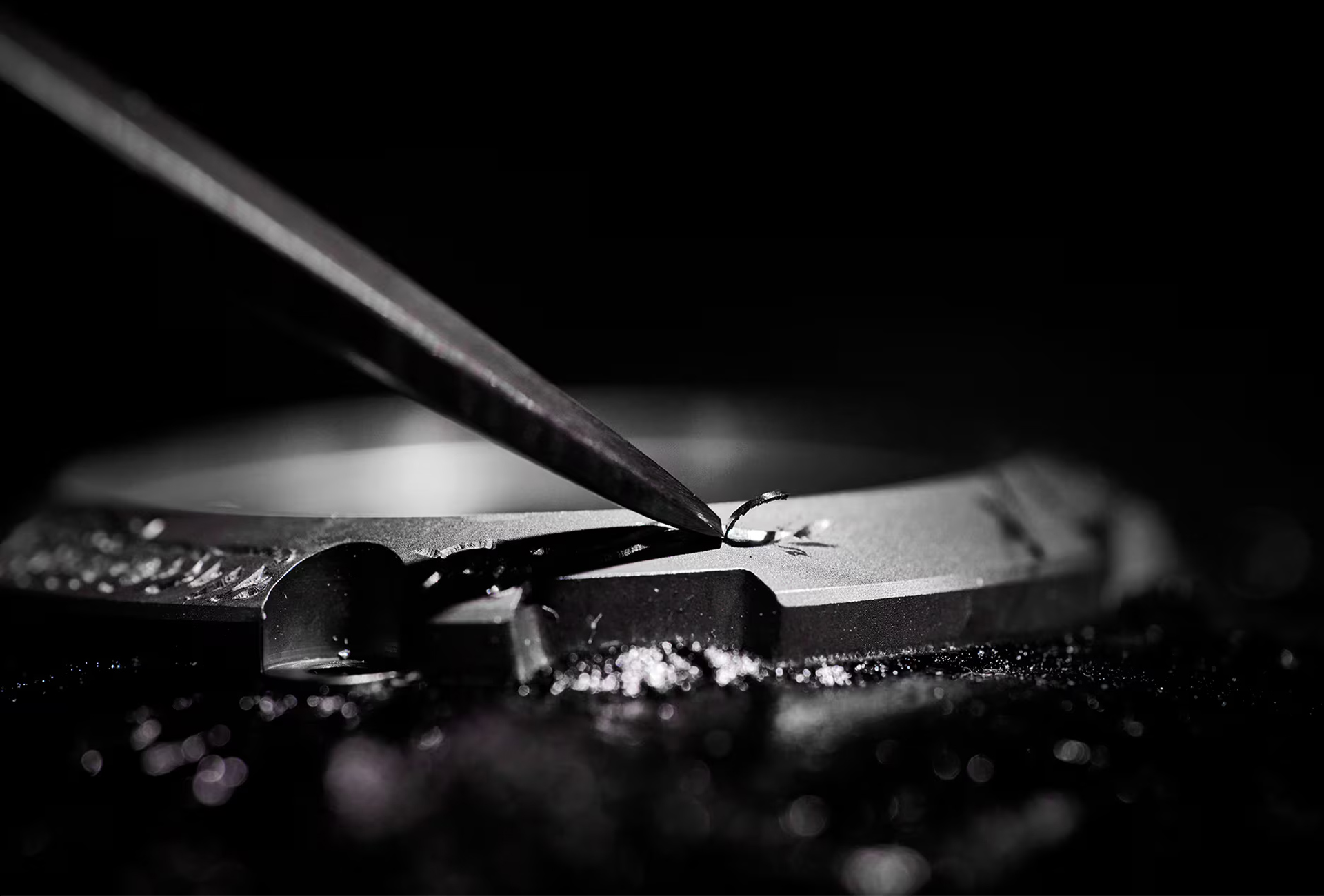 A photograph with a phoenix engraved on the bezel